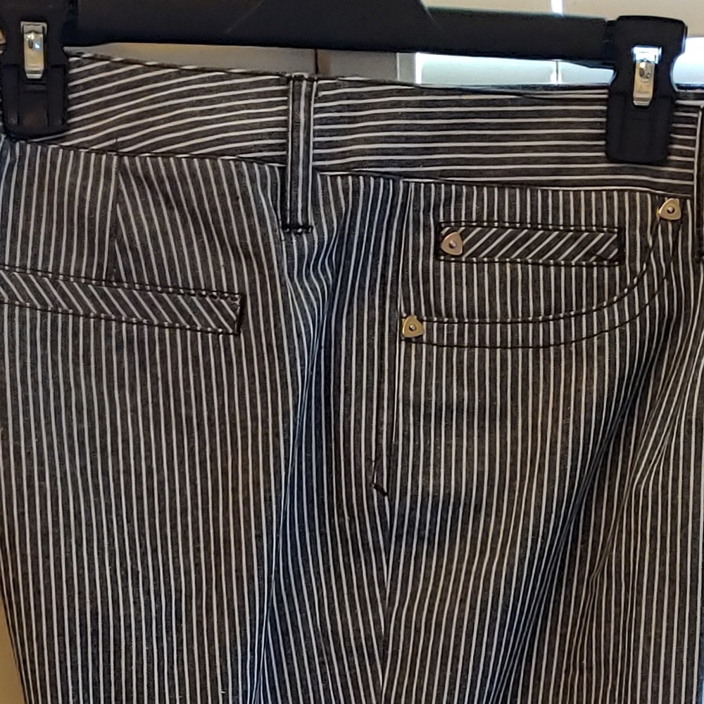 Slim Crop Pants Size 16